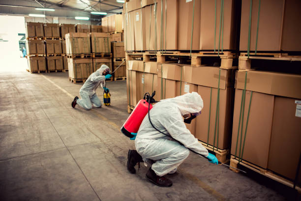 Best Commercial Pest Control Services  in Yerington, NV