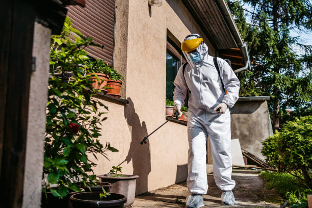 Best Pest Inspection Near Me  in Yerington, NV