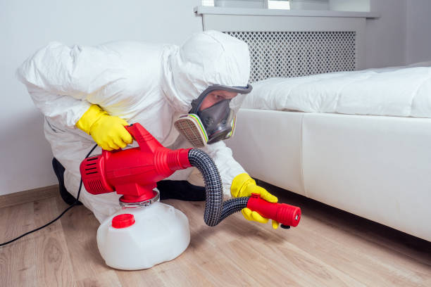 Best Affordable Exterminators  in Yerington, NV