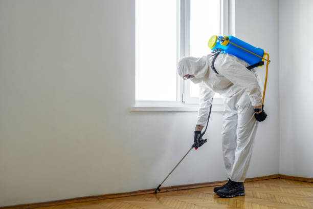 Best Wasp Removal Services  in Yerington, NV