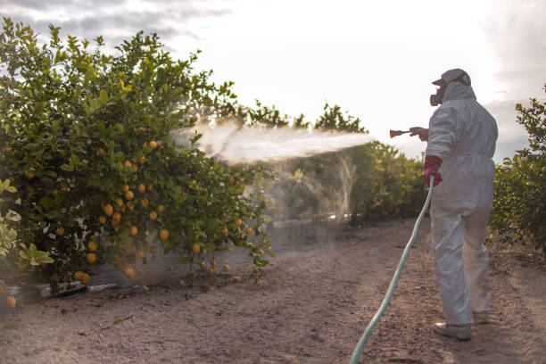Best Exterminator Services  in Yerington, NV