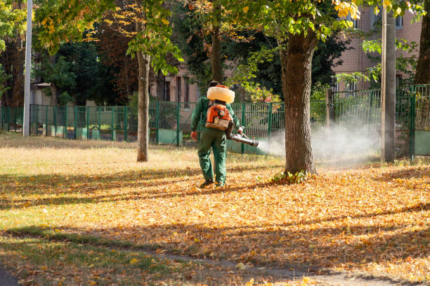 Yerington, NV Pest Control Company